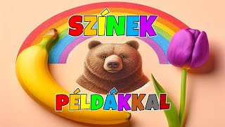 Színek példákkal gyerekeknek 🤩🎨🖌️