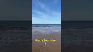 Dog Running At Portobello Beach Edinburgh Scotland