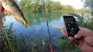 Spinning la biban cu un combo de stiuca si o guma mare / Perch spinning with a pike combo.