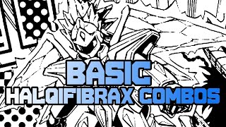 Quick Combo: 3 Basic Halqifibrax Combos