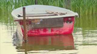 Markus Möller unterwegs in der Pommerschen Flusslandschaft 5