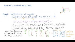 Dependencia e independencia lineal