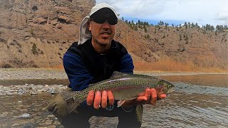 Chasing the BWO hatch on the Missouri river