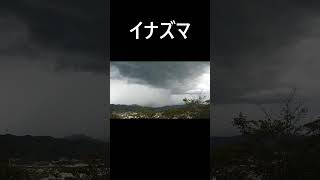 #紀ノ川流域いきものチャンネル　#和歌山県。