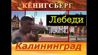 Калининград. Центр. Такого я ещё не видел. Лебеди. Продолжаем исследовать Калининград. Город мечта!