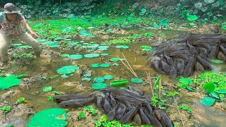 Catch fish after last night s rain .(Episode 128)