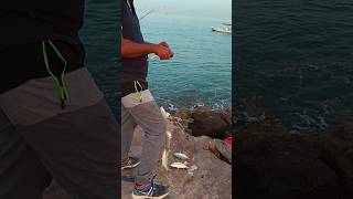 High Active 🐟🐟🎣 #fishing #trending #tamil #fisherman #shortsfeed #shorts #support #subscribe 💪🫣🐠🐟🎣