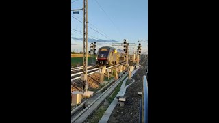 Transito treno viaggiatori "ROCK" a Poggio Rusco #Shorts #Trainspotter