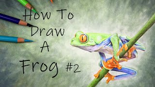 How to draw a Frog #2 - Colour pencil drawing