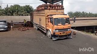 truk sawit tronton yang masuk, hari ini luar biasa!!@suriadi kw loader