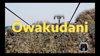 Hakone and Owakudani (Day 6) - Japan Trip