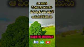 దేవునితో అనుదినం-180 | మోసపోకుడి - Telugu Christian Messages #reels #bible  #jesus #trending #shorts