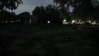 Elephants at the Houston Zoo