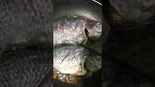 Mabilisang Ulam! Fried Tilapia #viral #shorts #trending #shortvideo #countryside #cooking #asmr