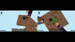 Minecraft Split Screen PC