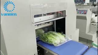 Automatic Vegetable Packaging, Weighing and labeling machine