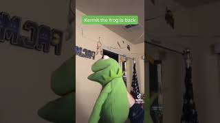 Guess who’s back on tiktok 💀 #kermit #tal_on