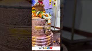 Pradosh 22-03-2024 #mahadev #nashik #viral #viralvideo #viralshorts #shorts #youtubeshorts #trending