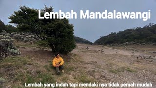 GUNUNG PANGRANGO 3019 MDPL || LEMBAH MANDALAWANGI VIA CIBODAS