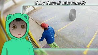 Reacting to Daily Dose of Internet #37! (He's Lucky to be Alive)