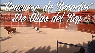 "Concurso de Recortes"|Olias del Rey