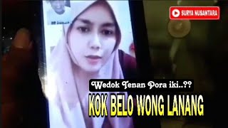 WEDOK TENAN ORA KIIIH..?  KOK MBELO WONG LANANG