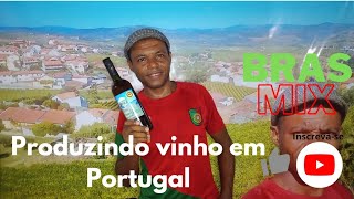 Participei de toda produção deste vinho 🇵🇹#portugal