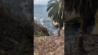 Cave store, La Jolla California