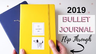 My 2019 Bullet Journal Flip Through ✨(RELAXING & COLORFUL)