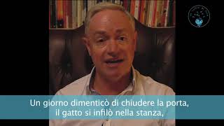 Meditare con gli animali - David Michie