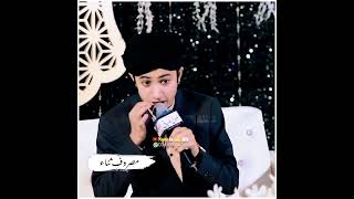 Ghulam Mustafa Qadri Naat Status | کرتـا ہـے ثنـاء تیری برستا ہـوا پانی 🌼 | #shorts #foryou #status