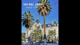 Sidi Bel Abbès, سيدي بلعباس 🌼🌴😍🇩🇿(Algérie, الجزائر)