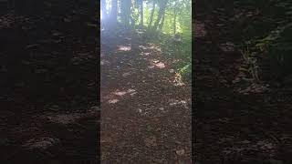 traxxas trx hauler doing hills #234 #trx6 #traxxashauler