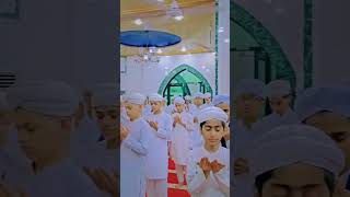 #new short #viral short #short video #foryou short of madrasatul madina #shortvideo #snowfall