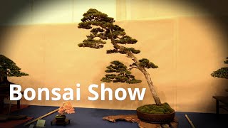 Catanzaro bonsai show 2023