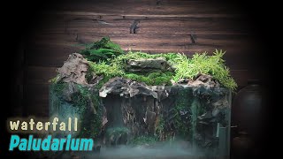 Making a Paludarium waterfall with a mist effect from Driftwood and Moss