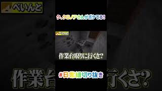 ク、クロノアさんがボケてる！【日常組切り抜き】