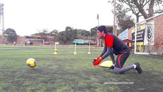 PERFECCIONAMIENTO DE LA TÉCNICA DEL PORTERO - ENTRENADOR PERÚ