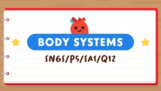 PSLE SCIENCE MADE SIMPLE EP186 | Body Systems | Analysing A Lung Model 🫁