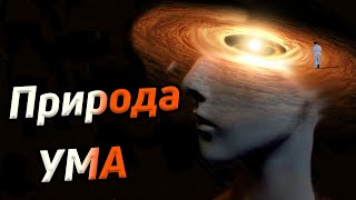 Природа ума / Как возник ум / Ум и вселенское сознание