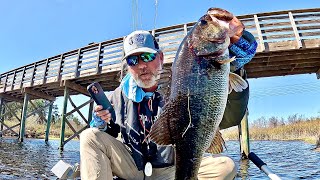 Bass Tournament at the BEACH?!