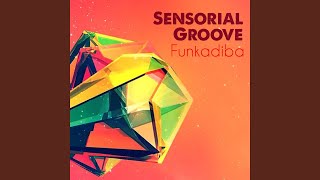 Sensorial Groove