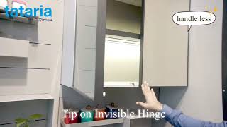 Tataria Invisible hinge tip on with universal profile for handless cabinet .