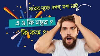 মশার ঔষধ কি? নোয়াখালী বনাম চট্টগ্রাম লেগেছে ধন্দ্ব।