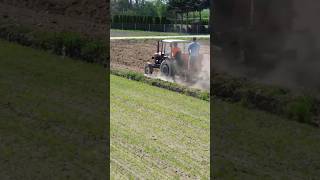 🔥 Video on the Channel 🔥#polskie #sadzenie #ziemniaki #rolnictwo #polskażywność #agriculture #ciapek