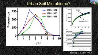 Los Angeles Urban Soil Symposium - Brown Infrastructure - Dr. Richard Pouyat