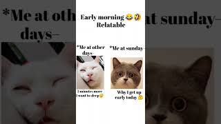 Wake up early morning 🤣😂memes || memes on Sunday ||#funny