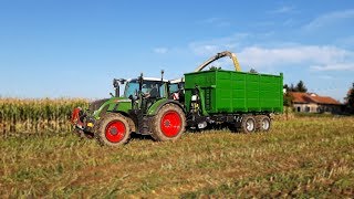 Maisernte 2019 | Mais häckseln | 5x Fendt Power | Claas Jaguar 850 | Fliegl, Reisch, Pronar, Claas