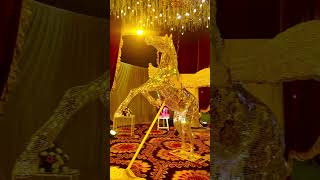 Wedding decoration ideas  wedding hall #marriage #wedding #hall #decoration #viralvideo