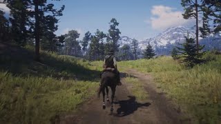 RED DEAD REDEMPTION 2 PS4 [Free Roam Gameplay]